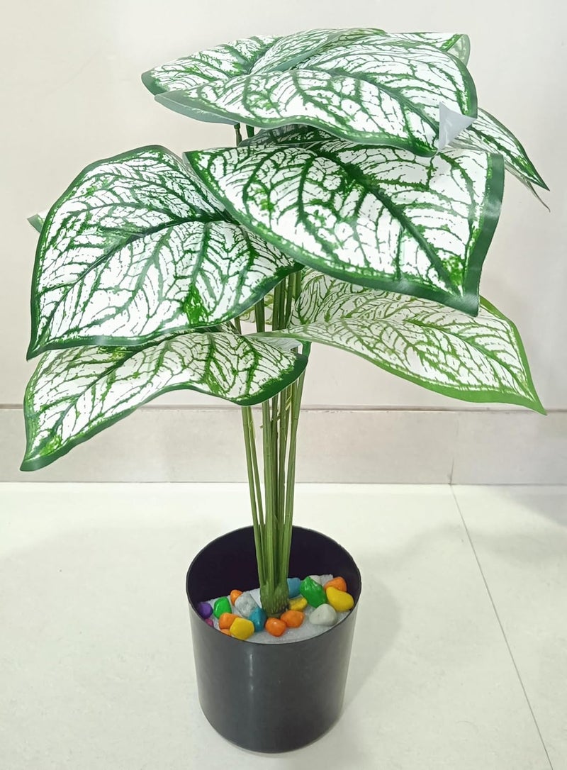 VRB Dec 1 قطعة من النباتات الاصطناعية مع وعاء أوراق شجرة استوائية 12 ورقة نخيل نباتات أريكا الاصطناعية داخلية لمسة حقيقية من نبات مونستيرا للمنزل/الديكور (نبات مونستيرا أبيض مع وعاء) - Image 4