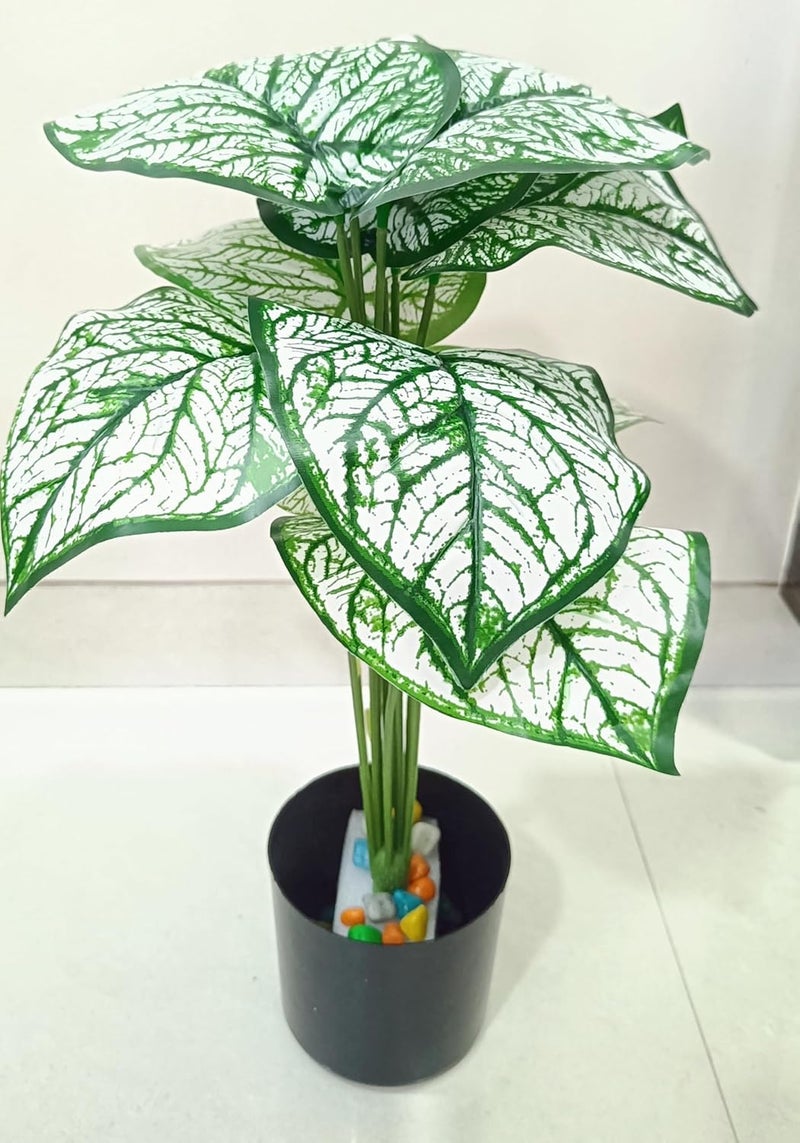 VRB Dec 1 قطعة من النباتات الاصطناعية مع وعاء أوراق شجرة استوائية 12 ورقة نخيل نباتات أريكا الاصطناعية داخلية لمسة حقيقية من نبات مونستيرا للمنزل/الديكور (نبات مونستيرا أبيض مع وعاء) - Image 2