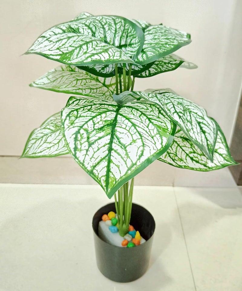 VRB Dec 1 قطعة من النباتات الاصطناعية مع وعاء أوراق شجرة استوائية 12 ورقة نخيل نباتات أريكا الاصطناعية داخلية لمسة حقيقية من نبات مونستيرا للمنزل/الديكور (نبات مونستيرا أبيض مع وعاء) - Image 5