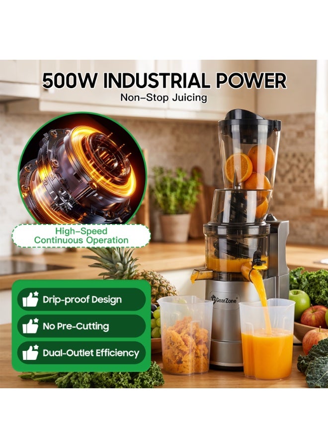 GearZone 500W Cold Press Juicer, 120mm Extra Large , BPA-Free Masticating Juicer for Whole Fruits & Vegetables, High Juice Yield, Quiet Operation & Easy Clean - Image 5