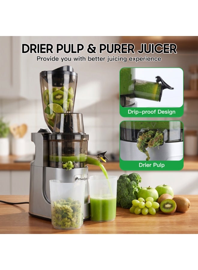 GearZone 500W Cold Press Juicer, 120mm Extra Large , BPA-Free Masticating Juicer for Whole Fruits & Vegetables, High Juice Yield, Quiet Operation & Easy Clean - Image 4