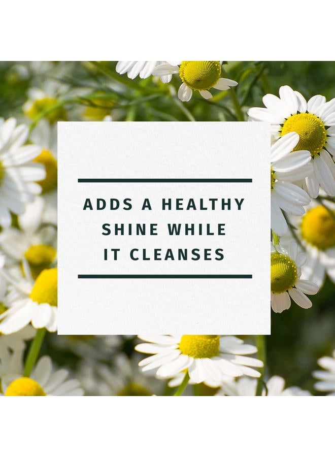 Herbal Essences Shine Collection Shampoo - Image 3