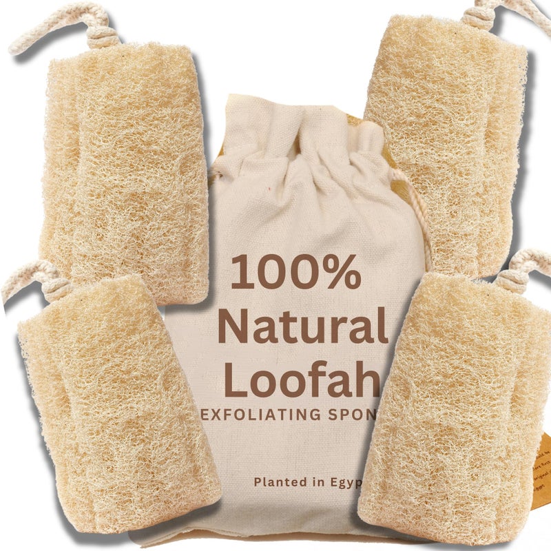 CraftsOfEgypt All Natural Loofah Sponge Pack of 4 Real Egyptian Bath Shower Exfoliating Loofa Scrubber Sponges for Face Back Body Eco Friendly No Toxic Chemicals 6 x 6 by Crafts of Egypt