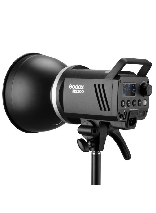 Shenniu MS200V MS300V Portraits Studio Studio Still Life Compact BaoRong Flash International Edition GODOX-Color:MS200V  - Image 5