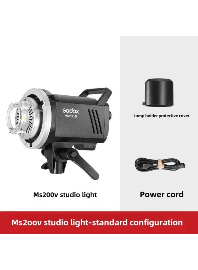 Shenniu MS200V MS300V Portraits Studio Studio Still Life Compact BaoRong Flash International Edition GODOX-Color:MS200V  - Image 1
