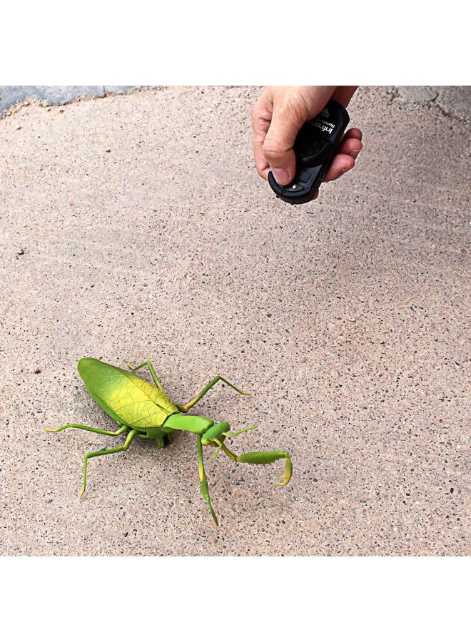 Tipmant RC Praying Mantis Toy IR Remote Control Animal Realistic Insect Car Vehicle Electric for Kids Birthday Gifts - Image 2