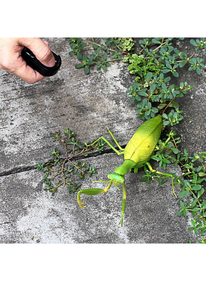 Tipmant RC Praying Mantis Toy IR Remote Control Animal Realistic Insect Car Vehicle Electric for Kids Birthday Gifts - Image 3