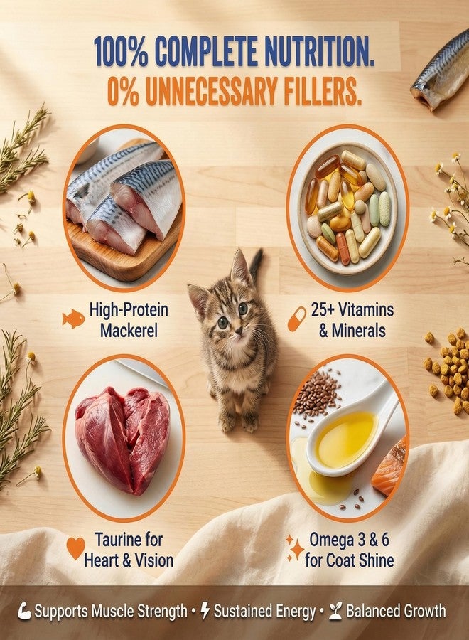 Petcrux Dry Kitten Cat Food, Mackerel Fish Flavor, with Omega 3 & 6 and Taurine, Complete & Balanced Nutrition for Growing Kittens, 1 kg - Image 4