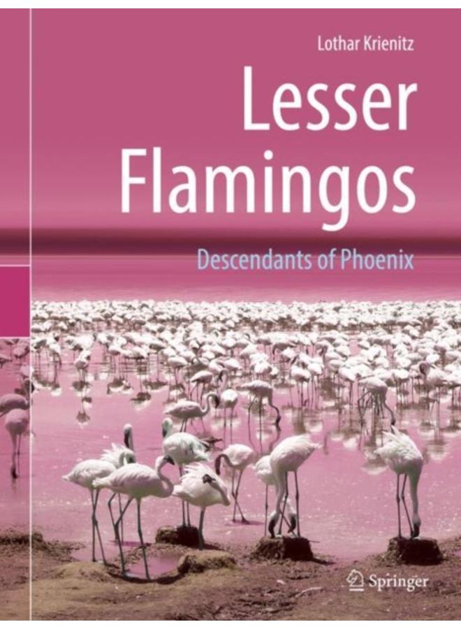 Lesser Flamingos : Descendants of Phoenix
