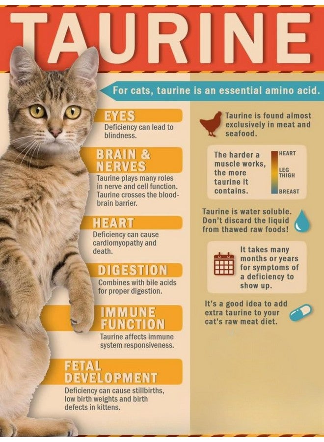 كات-مان-دو رقائق بونيتو من كات مان دو - كيس ٤ أونصة - عبوة من ٤ قطع - Image 5