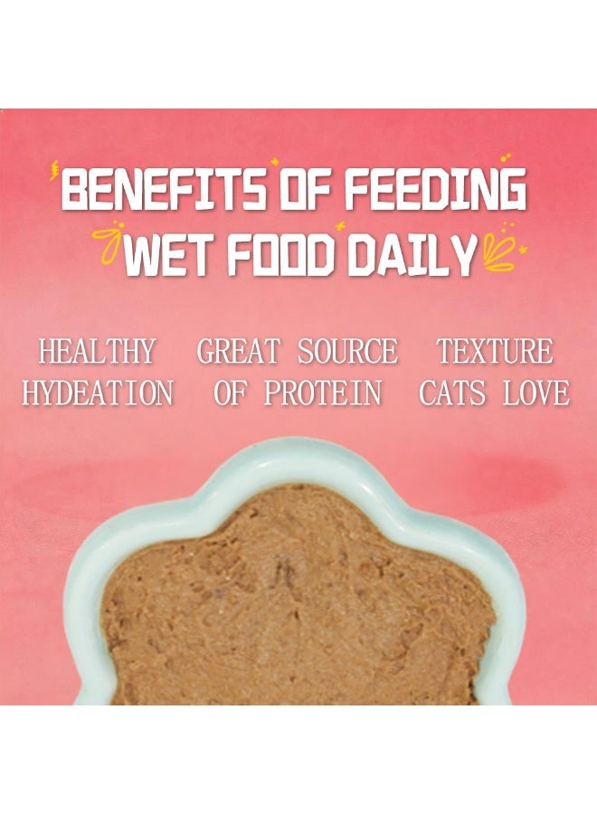 Petfull Beef Wet Cat Food – 170g High Protein Canned Cat Food with Salmon Oil – Hydrolyzed Technology for Sensitive Stomachs – Complete Nutrition for Daily Feeding（Pack of 24） - Image 3