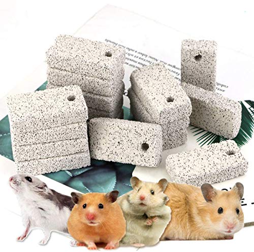 Newbested 20 Pcs Small Animal Pet Lava Bites Chews Toy Teeth Grinding Block Mineral Calcium Stone for Hamsters Parrot Chinchillas Rabbits Guinea Pigs Gerbils - Image 1