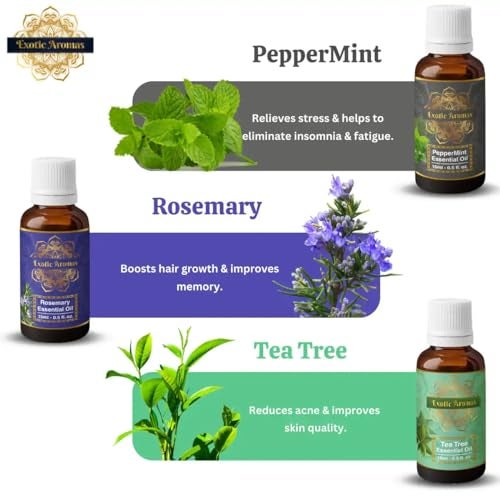 Exotic Aromas Essential Oil Lavender Rose Rosemary Orange Jasmine YlangYlang Tea Tree Eucalyptus Lemongrass Peppermint Lemon Citronella Pack of 12 - Image 4