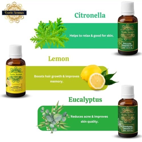 Exotic Aromas Essential Oil Lavender Rose Rosemary Orange Jasmine YlangYlang Tea Tree Eucalyptus Lemongrass Peppermint Lemon Citronella Pack of 12 - Image 5