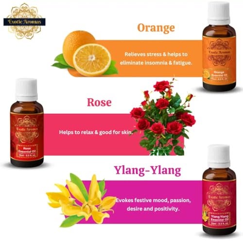 Exotic Aromas Essential Oil Lavender Rose Rosemary Orange Jasmine YlangYlang Tea Tree Eucalyptus Lemongrass Peppermint Lemon Citronella Pack of 12 - Image 3
