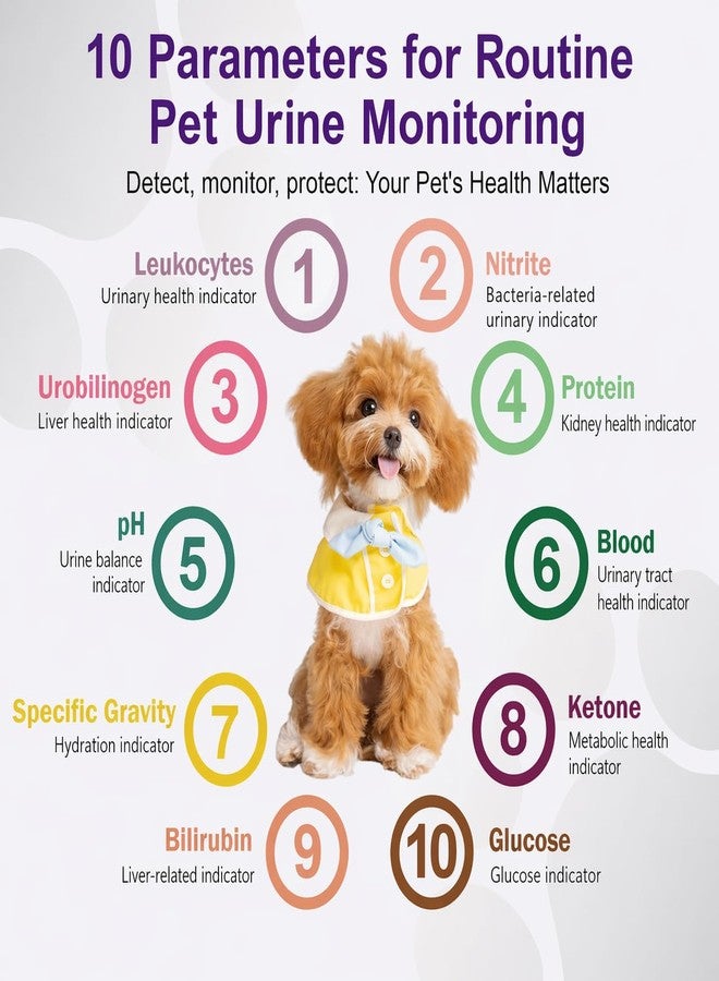 Carethetic Pet Urine Test Strips for Dogs & Cats, 10-Parameter Urinalysis Test Kit, 100 Reagent Strips for At-Home Urine Health Screening, Fast Results, Easy to Use - Image 5