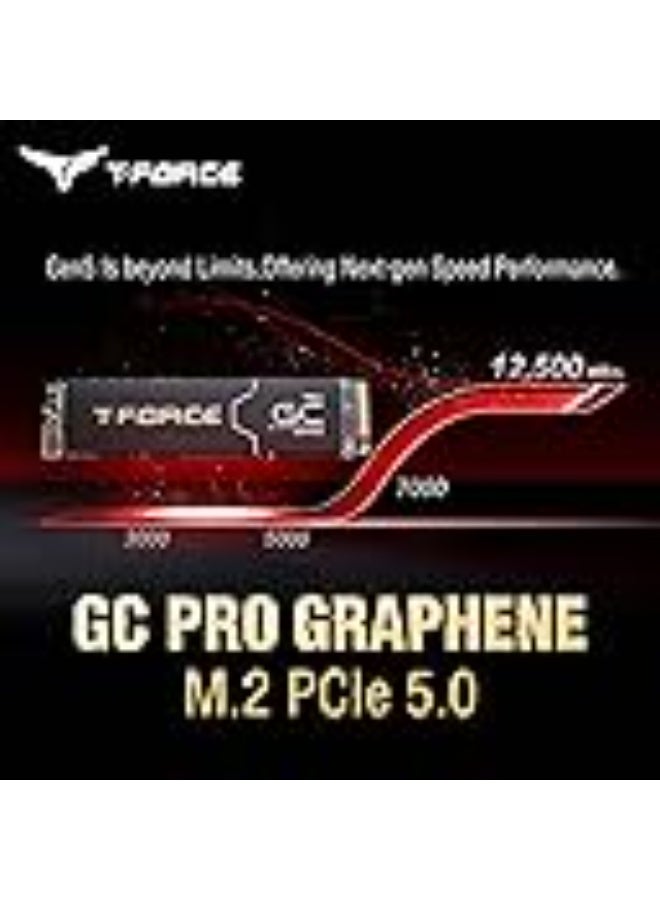 تيم جروب T-Force GE PRO 4TB Graphene Heatsink DRAM SLC Cache 3D TLC NAND NVMe InnoGrit PCIe Gen5x4 M.2 2280 Gaming Internal SSD Read/Write 12500/11000 MB/s TM8FFL004T0C129 - Image 2