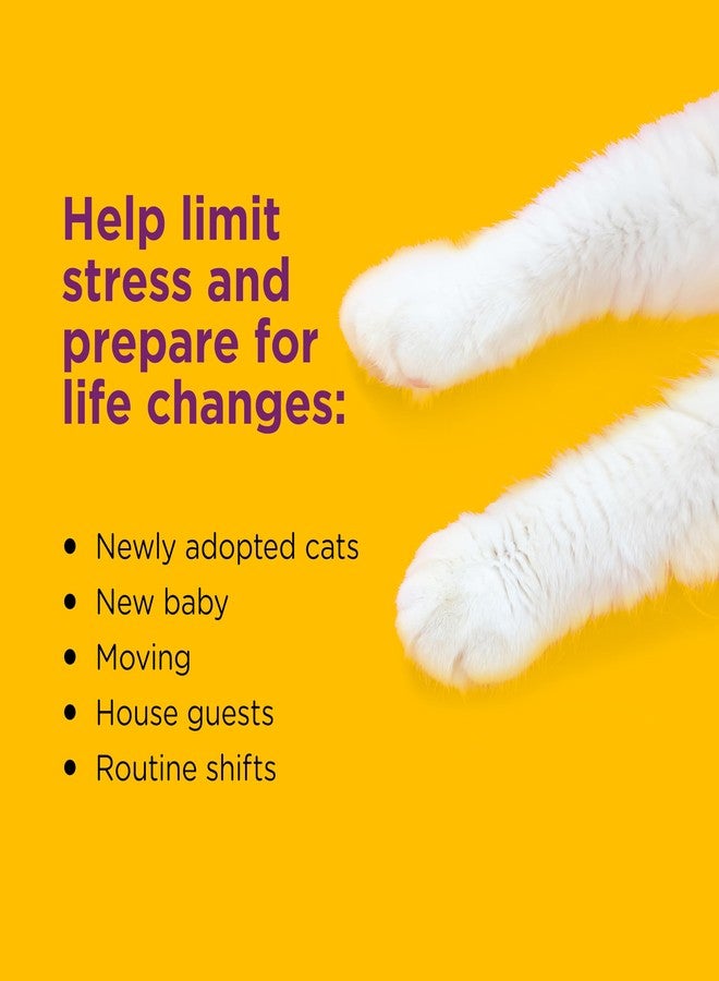 Comfort Zone Savings Kit: 2 Cat Calming Diffusers & 2 Refills; Cat Pheromones Help Anxiety; Reduce Stress, Urine Marking, Scratching - Image 3