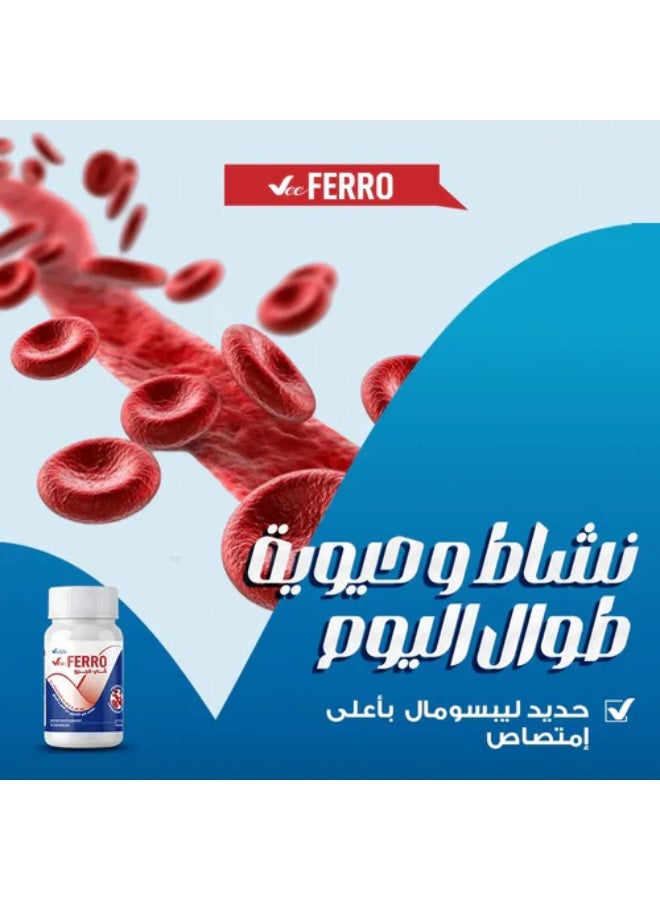 فيكسيا في فيرو مكمل غذائي حديد ليبوزومال وزنك - 30 كبسولة - Image 2