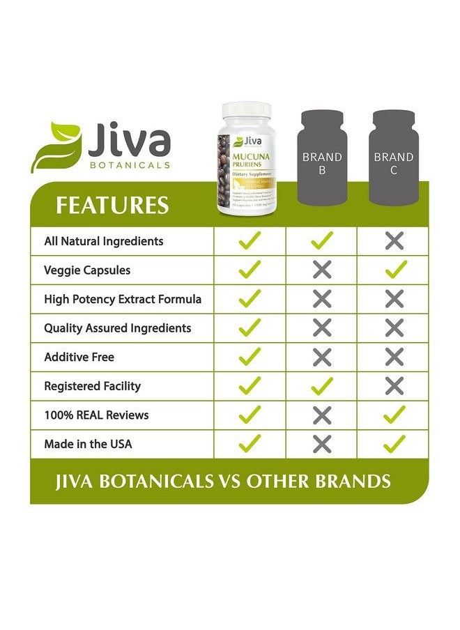 Jiva BOTANICALS - Mucuna Pruriens Capsules 1100 Mg Precursor To Dopamine Supplements Velvet Beans Containing L Dopa (Ldopa) Mucuna Pruriens Extract In Mucuna Pruriens Powder Form 90 Capsules - Image 1