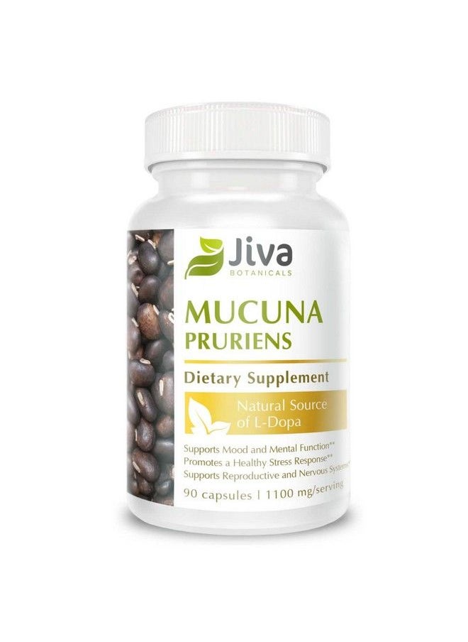 Jiva BOTANICALS - Mucuna Pruriens Capsules 1100 Mg Precursor To Dopamine Supplements Velvet Beans Containing L Dopa (Ldopa) Mucuna Pruriens Extract In Mucuna Pruriens Powder Form 90 Capsules - Image 1