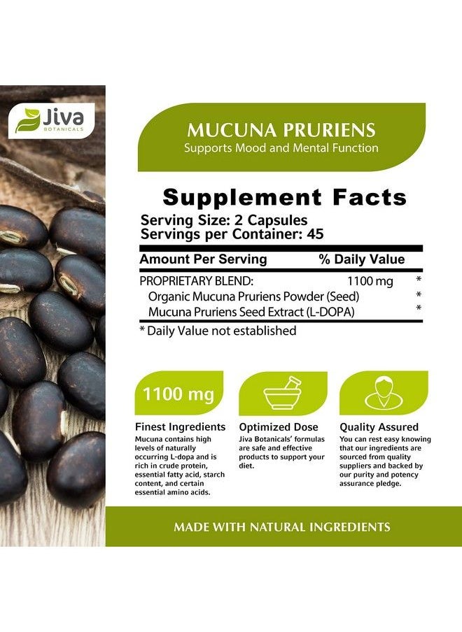 Jiva BOTANICALS - Mucuna Pruriens Capsules 1100 Mg Precursor To Dopamine Supplements Velvet Beans Containing L Dopa (Ldopa) Mucuna Pruriens Extract In Mucuna Pruriens Powder Form 90 Capsules - Image 1