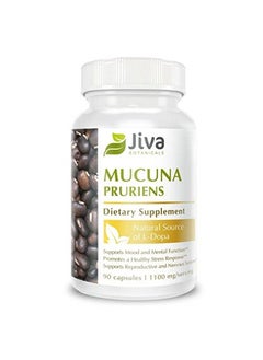 Mucuna Pruriens Capsules 1100 Mg Precursor To Dopamine Supplements Velvet Beans Containing L Dopa (Ldopa) Mucuna Pruriens Extract In Mucuna Pruriens Powder Form 90 Capsules