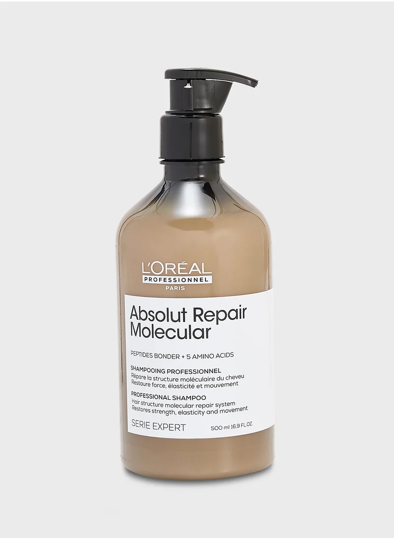 لوريال بروفيسيونال Lp Se Arm Shp 500Ml Csr R Vi62