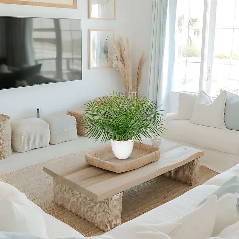 Briful Artificial Palm Plant in White Pot, 18” Faux Tropical Tabletop Plant with 14 Realistic Leaves, Small Potted Palm Tree for Farmhouse, Coffee Table, Entryway, Bathroom, Shelf & Living Room Decor - Image 2