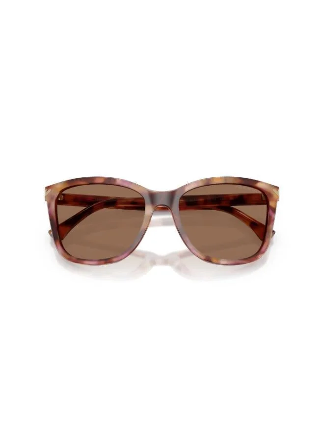 EMPORIO ARMANI  0Ea4060 Square Sunglasses for Women | Best Price UAE