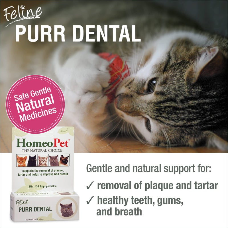 HomeoPet Feline Purr Dental, Safe and Natural Tooth and Dental Care for Cats, 15 Milliliters - Image 2