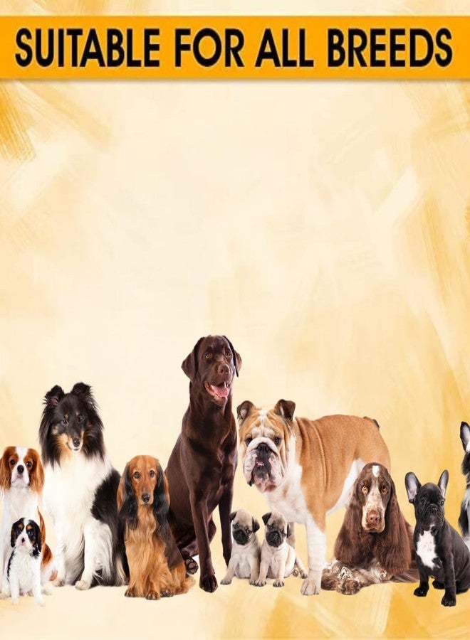 PET FUN Munchy Roll Chew Stick - Natural Dog Treat for All Breeds and Sizes | Promotes Dental Health | Low Fat, High Protein Dog Chew Snack (200 Gram, Muton) - Image 4