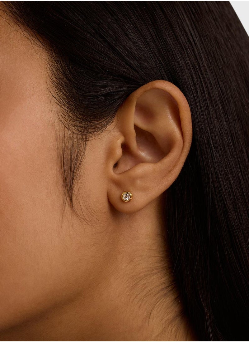 Ted Baker Crystal Deatil Stud Earrings  - Image 4