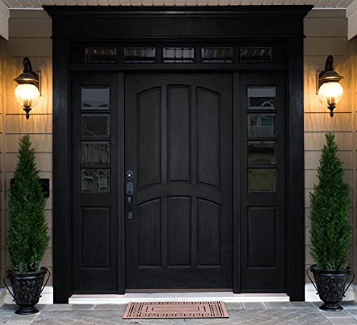 VARATHANE فاراثان 358176 صبغة جل مميزة، ربع، أسود - Image 5