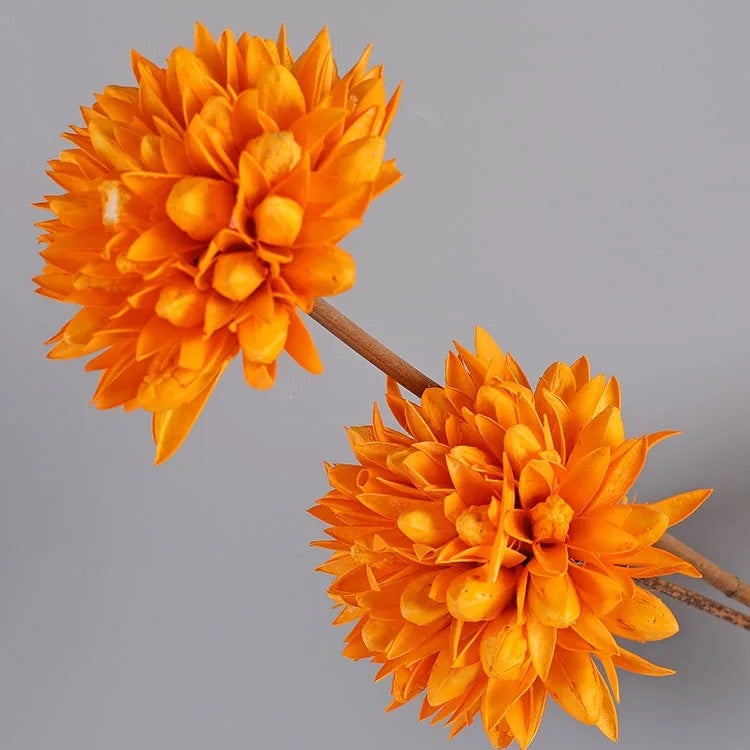 Bluejw Bulk Decorative Dried & Preserved Flowers Arrangements - Natural Dry Plants & Handmade Wooden Flower Décor - Image 1