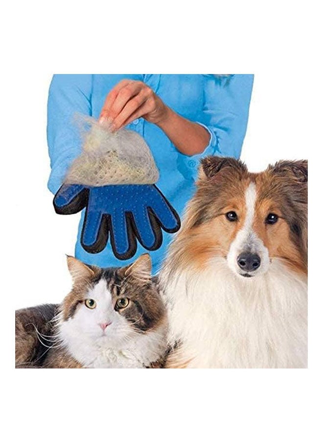 Pets Hair Glove Comb Right Hand - 84 Grams - pzsku/Z8A366889FBA0D3F87F2BZ/45/_/1717578433/48e9a39c-443d-409d-ba39-cb5b7304c582