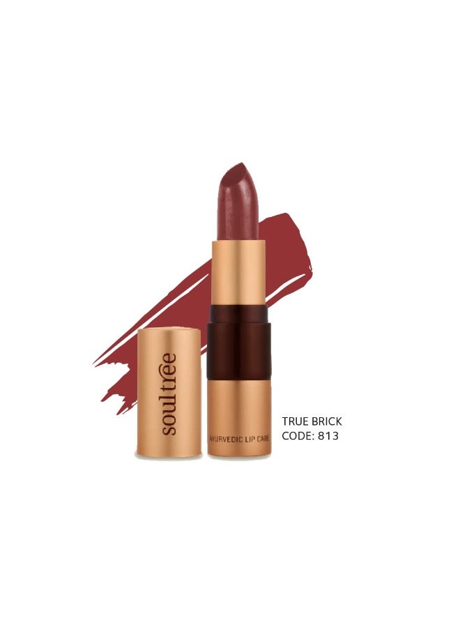 سول تري أحمر شفاه SoulTree Ayurvedic - درجة True Brick 813، سعة 4 غرام | ذو قوام كريمي | غني بالسمن العضوي وزيت اللوز | لشفاه مرطبة ومغذّاة | 4 غرام - Image 4