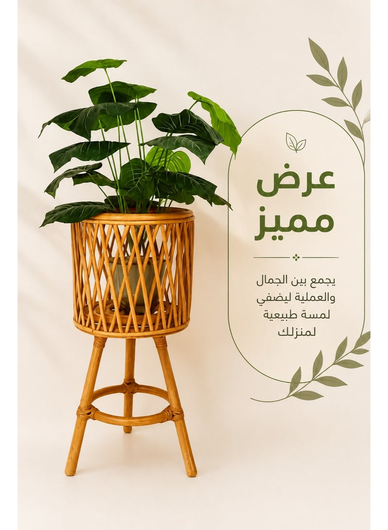 كالدا حامل نباتات "كالدا" من البامبو الصديق للبيئة (60 سم) – حامل قصاري زرع ديكور مصنوع يدويًا – قاعدة خشب طبيعي للنباتات الداخلية وديكور المنزل - Image 2