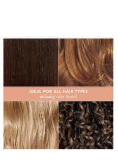 DAE DAE Signature Shampoo - Cleanses & Hydrates Dry Hair & Scalp (10 oz.)  - Image 3