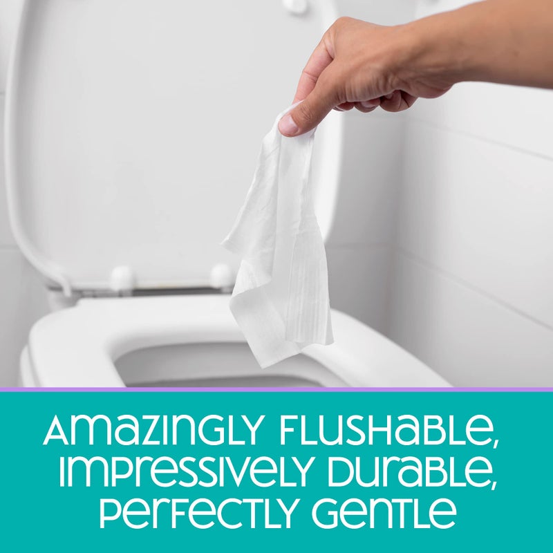 Nice 'N Clean SecureFLUSH Flushable Wet Wipes (42 Count - 6 Packs) | Moist Toilet Tissue with Moisturizing Aloe & Vitamin E | 0% Alcohol Formula for Sensitive Skin | Butt Wipes for Adults - Image 3