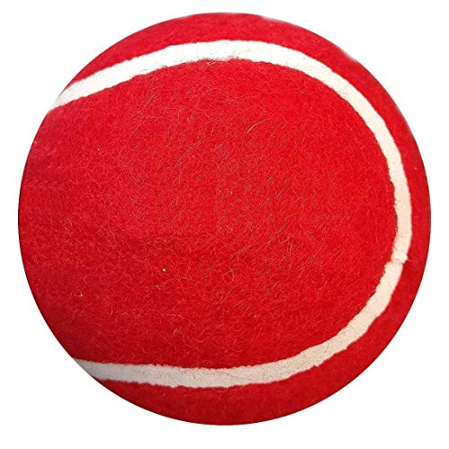 AMIFIT Light Weight Tennis Ball | Perfect for Recreational Sports, Cricket and Kids, Pack of 12 (Red) - Image 2