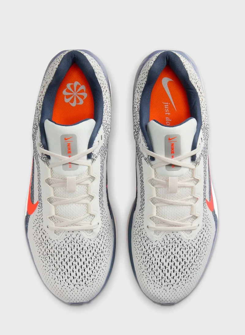 Nike Air Winflo 11