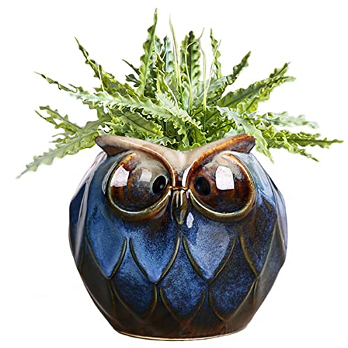 GeLive Blue Owl Ceramic Succulent Planter with Drainage Hole Animal Plant Pot Tabletop Decoration Vase Window Box Indoor Outdoor Decor (Blue) - Image 1