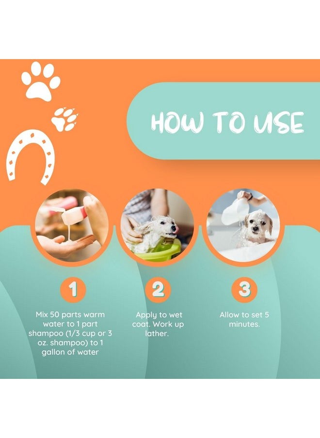 Laube - Kelco by Laube Puppy and Kitten Shampoo - Puppy Tears Shampoo for Newborn Pets - Natural, Hypoallergenic, Cruelty-Free Formula for Grooming Baby Dogs, Cats, and Pets (50:1 Concentrated, 11 fl oz) - Image 1