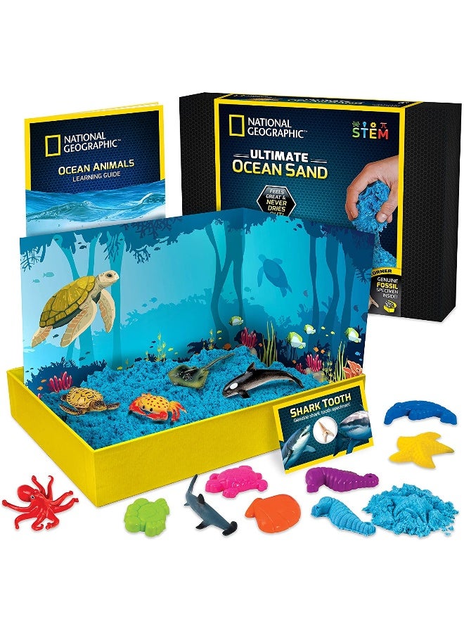 National Geographic Ultimate Ocean Sand Kit - Image 2