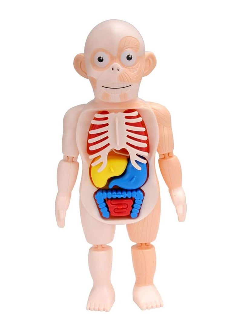 HASSM - Scientific games - Image 1