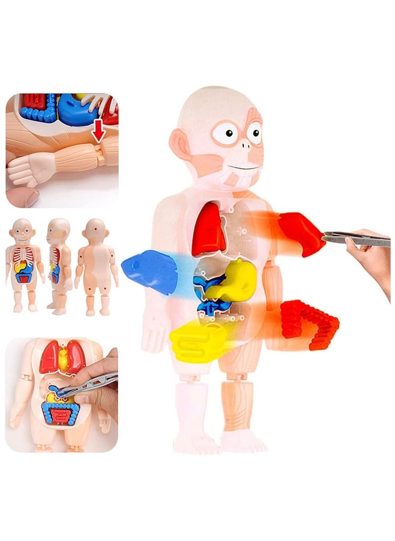 HASSM - Scientific games - Image 1