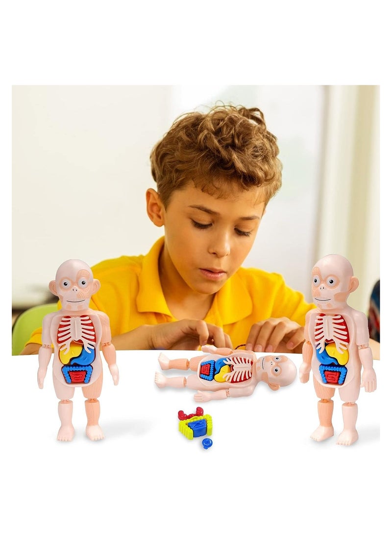 HASSM - Scientific games - Image 1