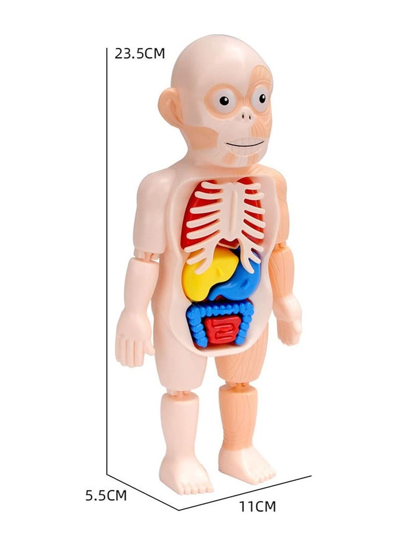 HASSM - Scientific games - Image 1
