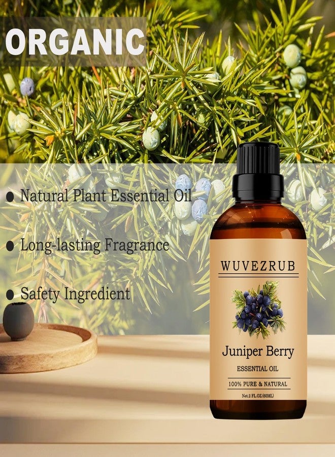 Wuvezrub Juniper Berry Essential Oil 60ML, 100% Pure and Natural for Aromatherapy Diffuser - 2 Fl Oz - Image 4
